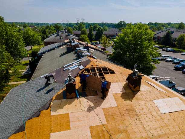 Best Roof Gutter Cleaning  in Staunton, VA